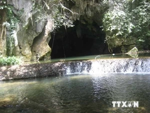 An entrance of Tu Lan cave (Photo: VNA)